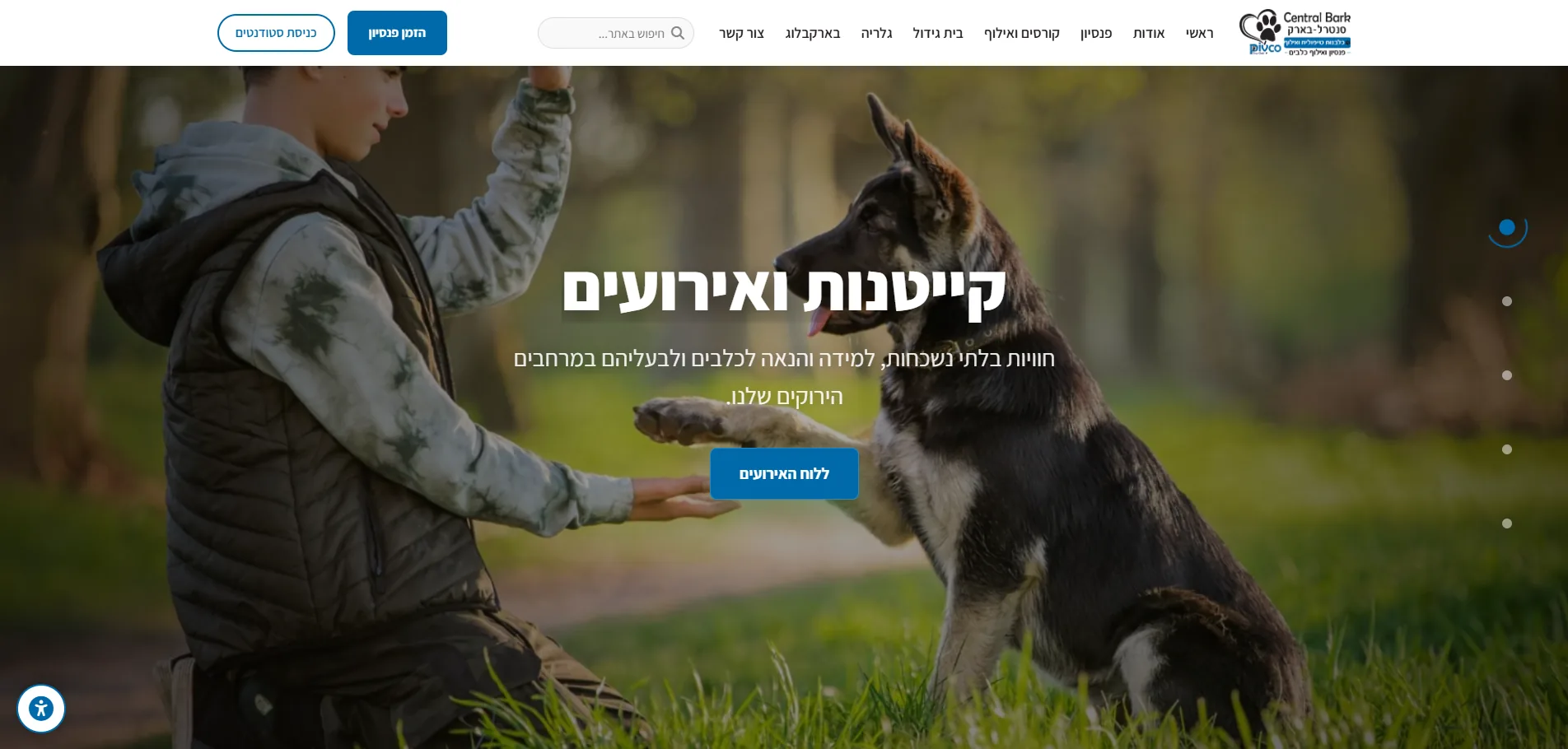 ממשק המערכת