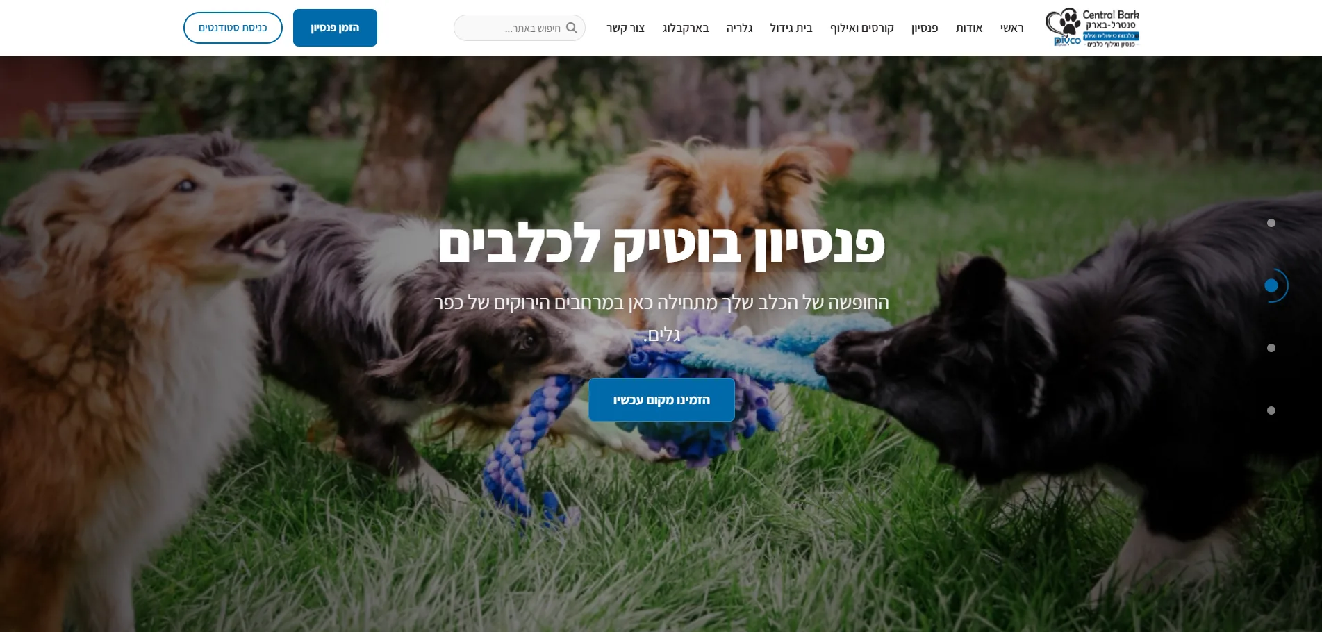 סנטרל בארק