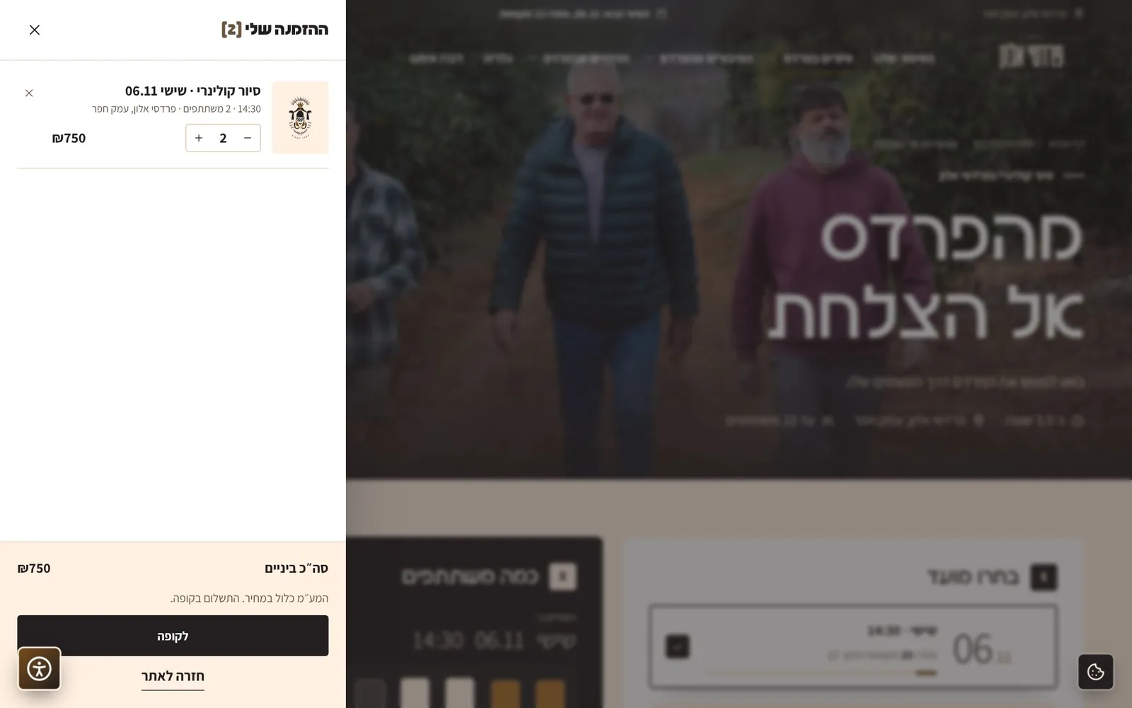 צילום מסך: עגלת ההזמנה במחשב.
