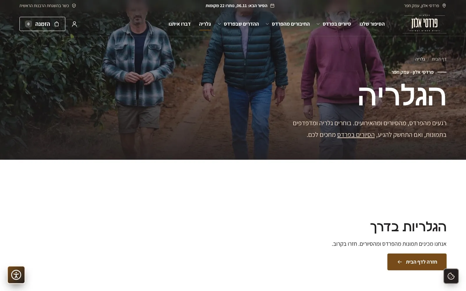 צילום מסך: הגלריה.